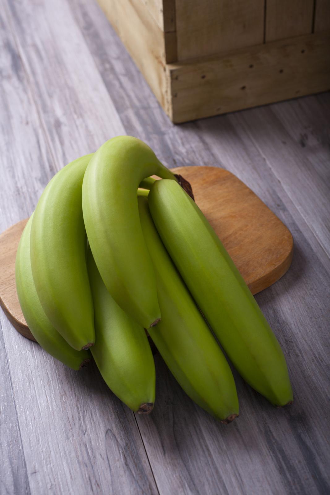 PLATANO